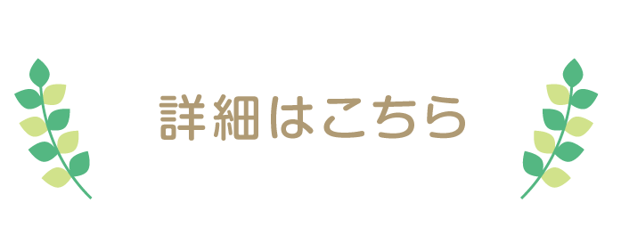 詳細はこちら